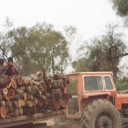 Image 008