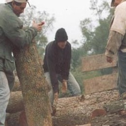 Image 014
